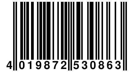 4 019872 530863