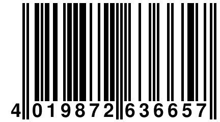 4 019872 636657