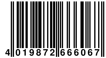 4 019872 666067