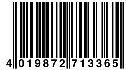 4 019872 713365