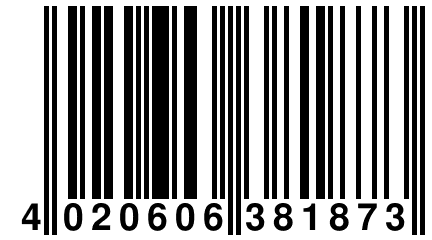 4 020606 381873