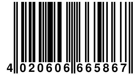 4 020606 665867