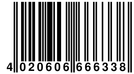 4 020606 666338