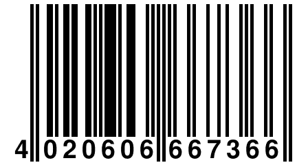 4 020606 667366