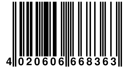 4 020606 668363