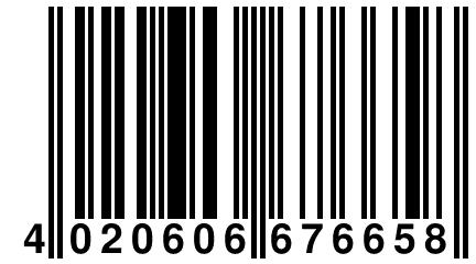 4 020606 676658