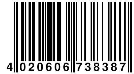 4 020606 738387