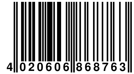 4 020606 868763