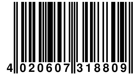 4 020607 318809