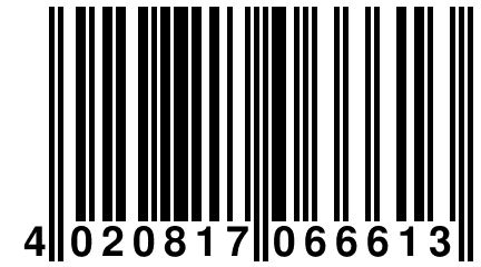 4 020817 066613