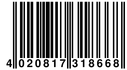 4 020817 318668