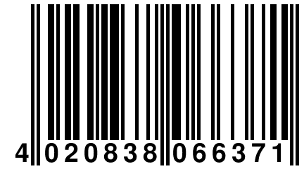 4 020838 066371