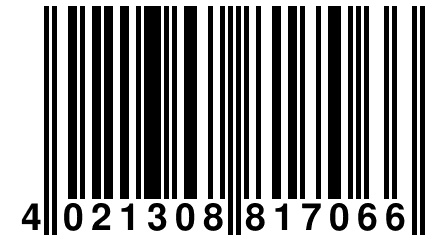 4 021308 817066