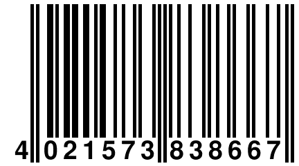 4 021573 838667