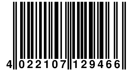 4 022107 129466