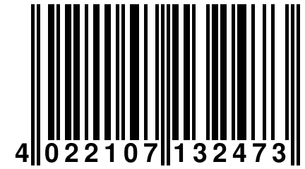 4 022107 132473