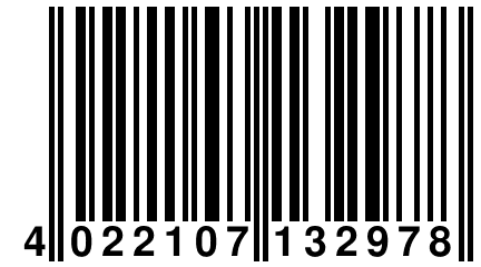 4 022107 132978