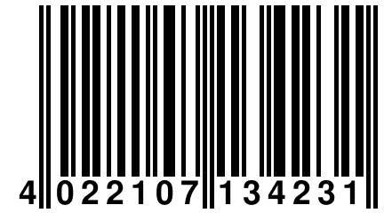 4 022107 134231