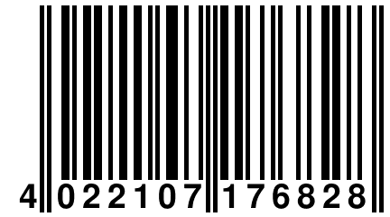 4 022107 176828