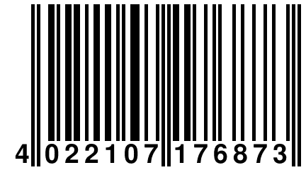 4 022107 176873