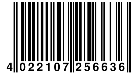 4 022107 256636