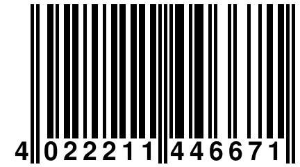 4 022211 446671