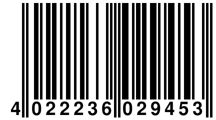 4 022236 029453