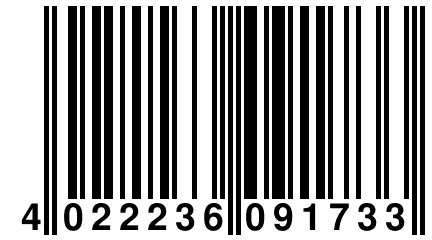 4 022236 091733