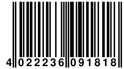 4 022236 091818