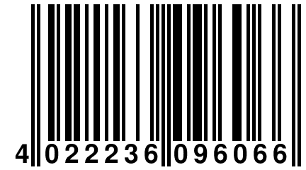 4 022236 096066