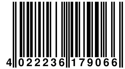 4 022236 179066