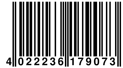 4 022236 179073