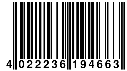 4 022236 194663