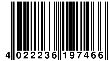 4 022236 197466