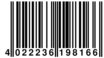 4 022236 198166