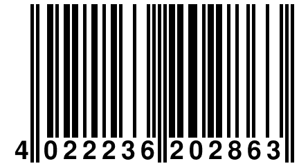 4 022236 202863