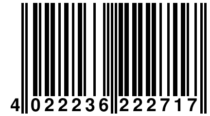 4 022236 222717