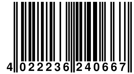 4 022236 240667