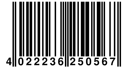 4 022236 250567