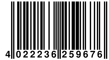 4 022236 259676