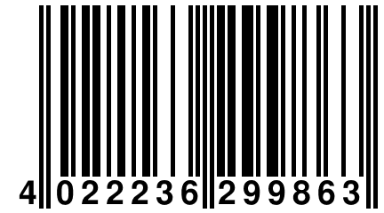 4 022236 299863