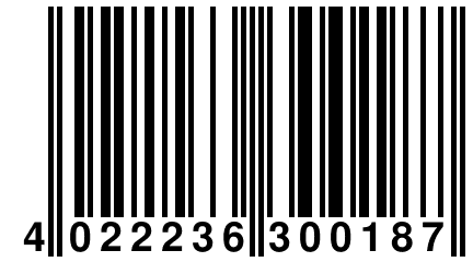 4 022236 300187