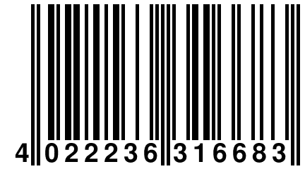 4 022236 316683