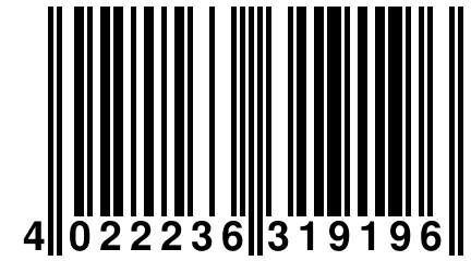 4 022236 319196