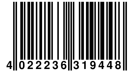 4 022236 319448