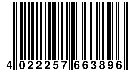 4 022257 663896