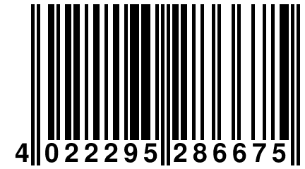 4 022295 286675