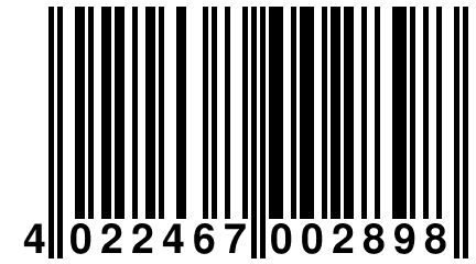 4 022467 002898