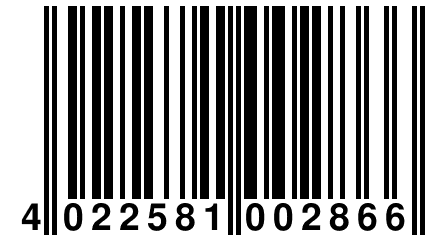 4 022581 002866