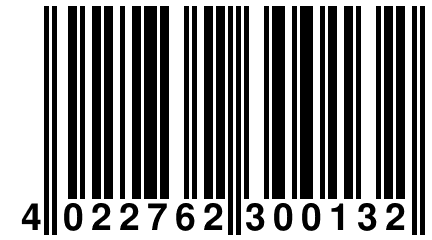 4 022762 300132